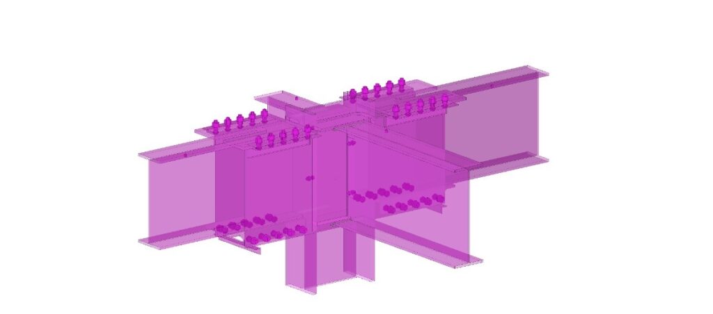 Chief Andrew Issac Medical — Structural model 02